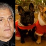 Padre de Lady Gaga pide ayuda para a los secuestradores de sus perros
